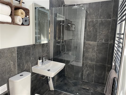 Ensuite shower room